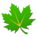 Greenify Icon