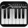 Perfect Piano Icon Icon